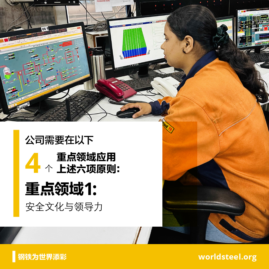 Area 1_Safety culture and leadership