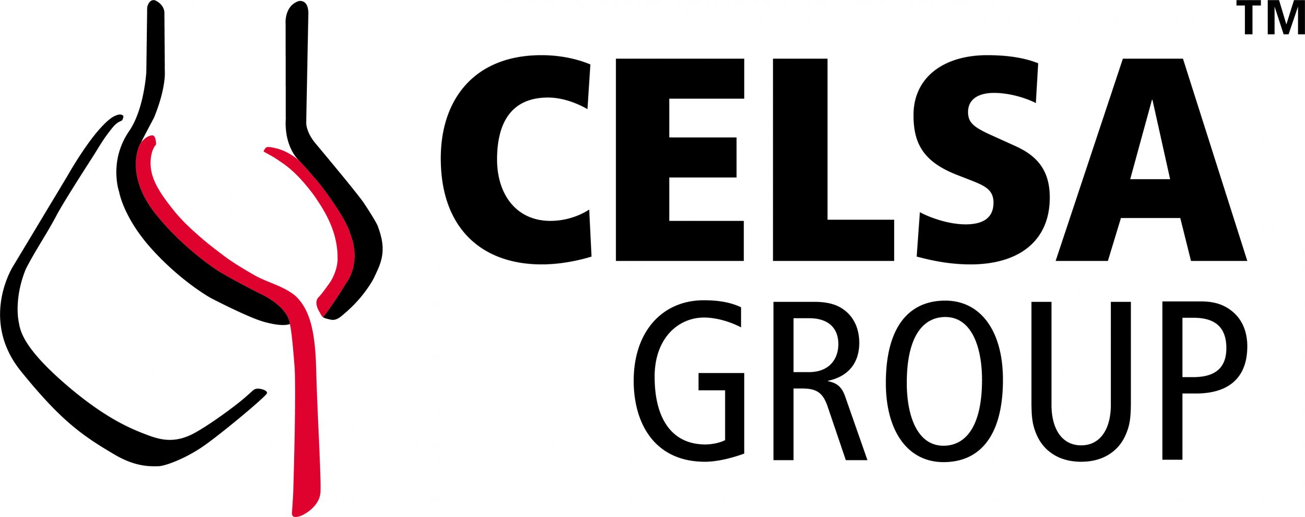 CELSA Steel Group