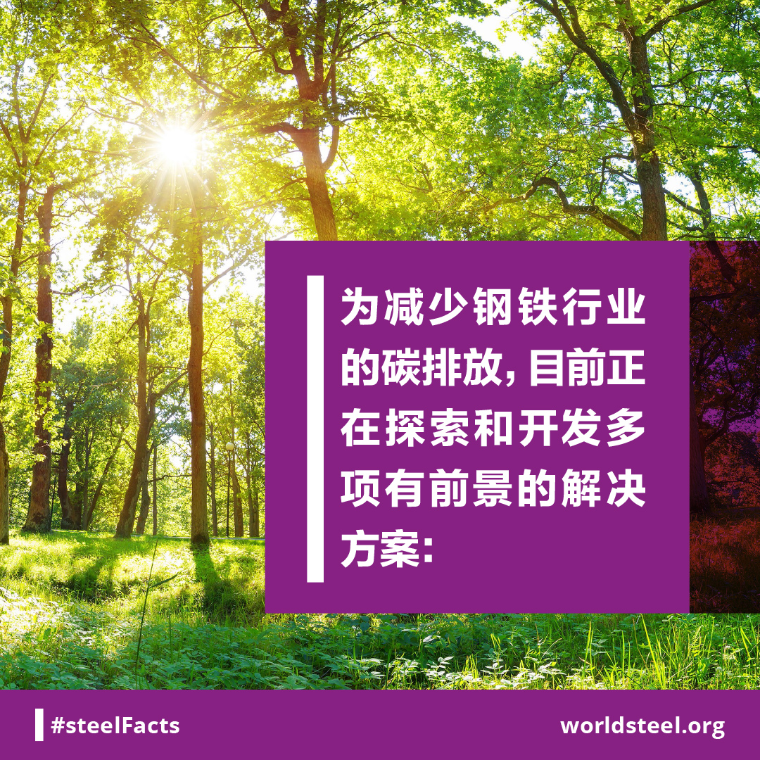 Many CO2 reduction options in development