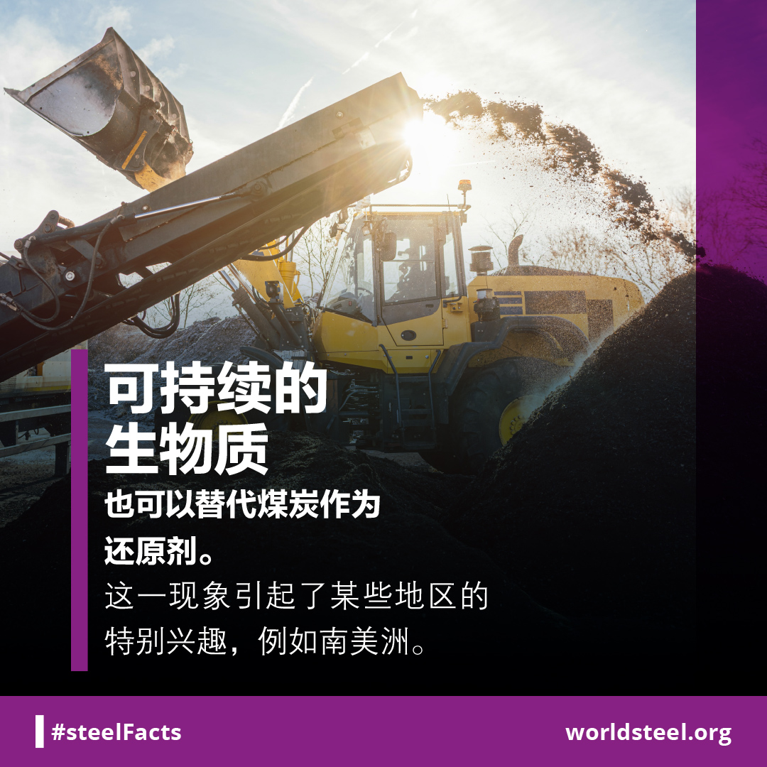 Use of biomass as a CO2 reduction method