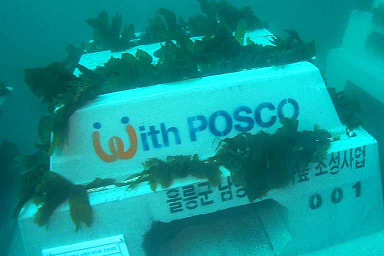 POSCO Triton block on the sea bed