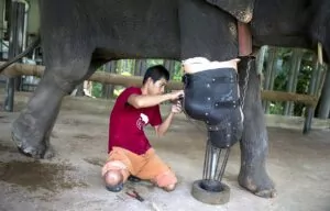 Every time Mosha wakes up, Palahdee has to fit her with her prosthetic leg.