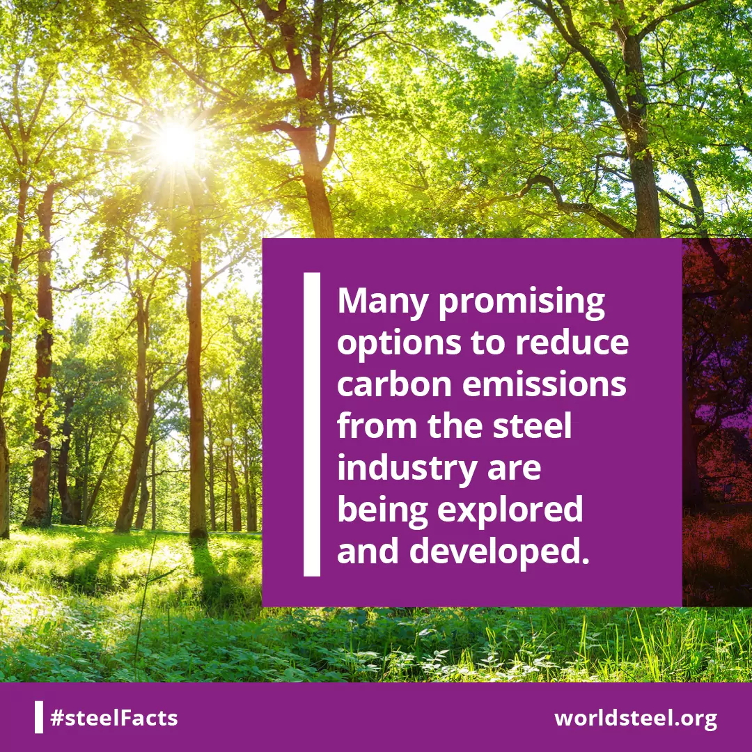 Many CO2 reduction options in development