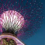 可持续发展指标报告2022年版