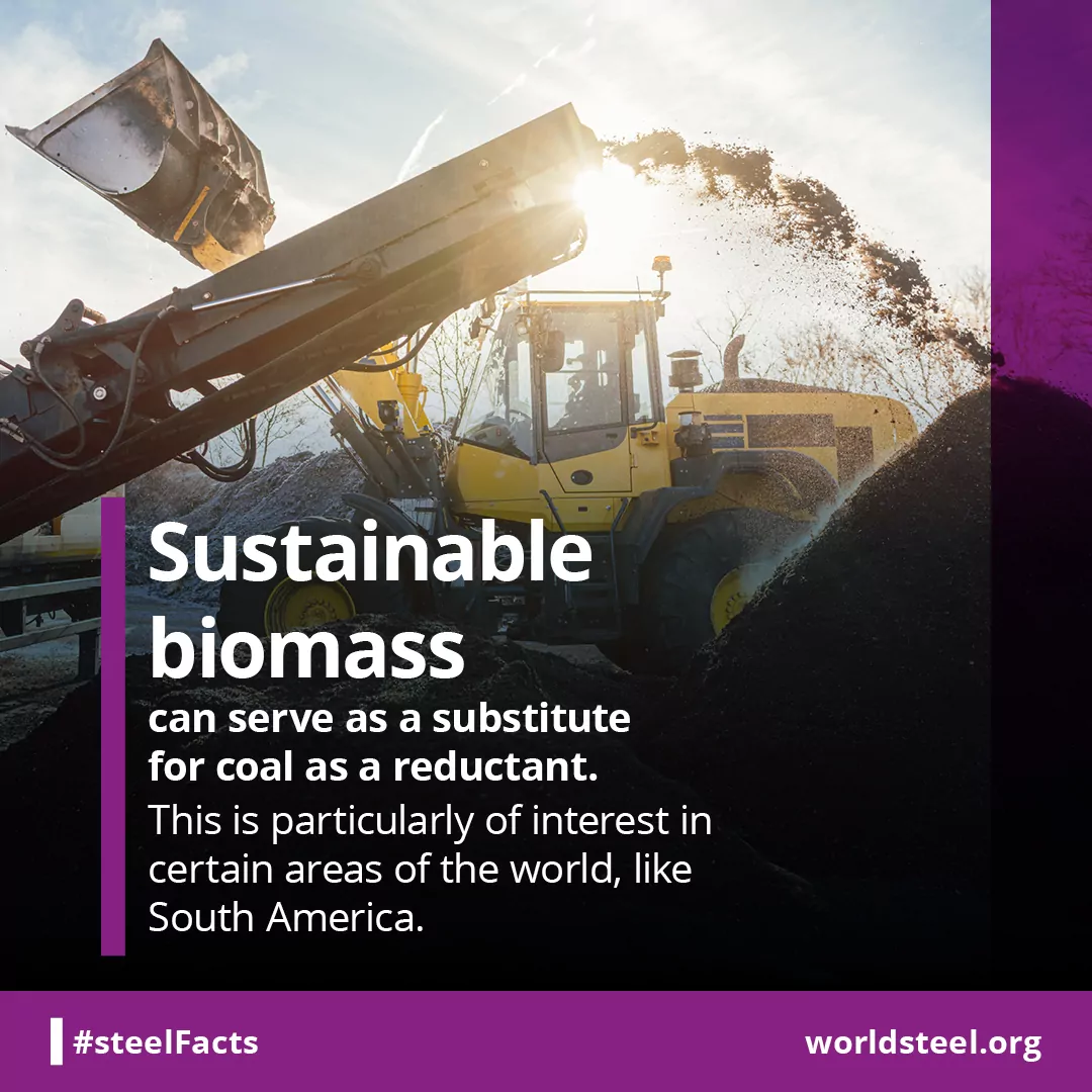 Use of biomass as a CO2 reduction method
